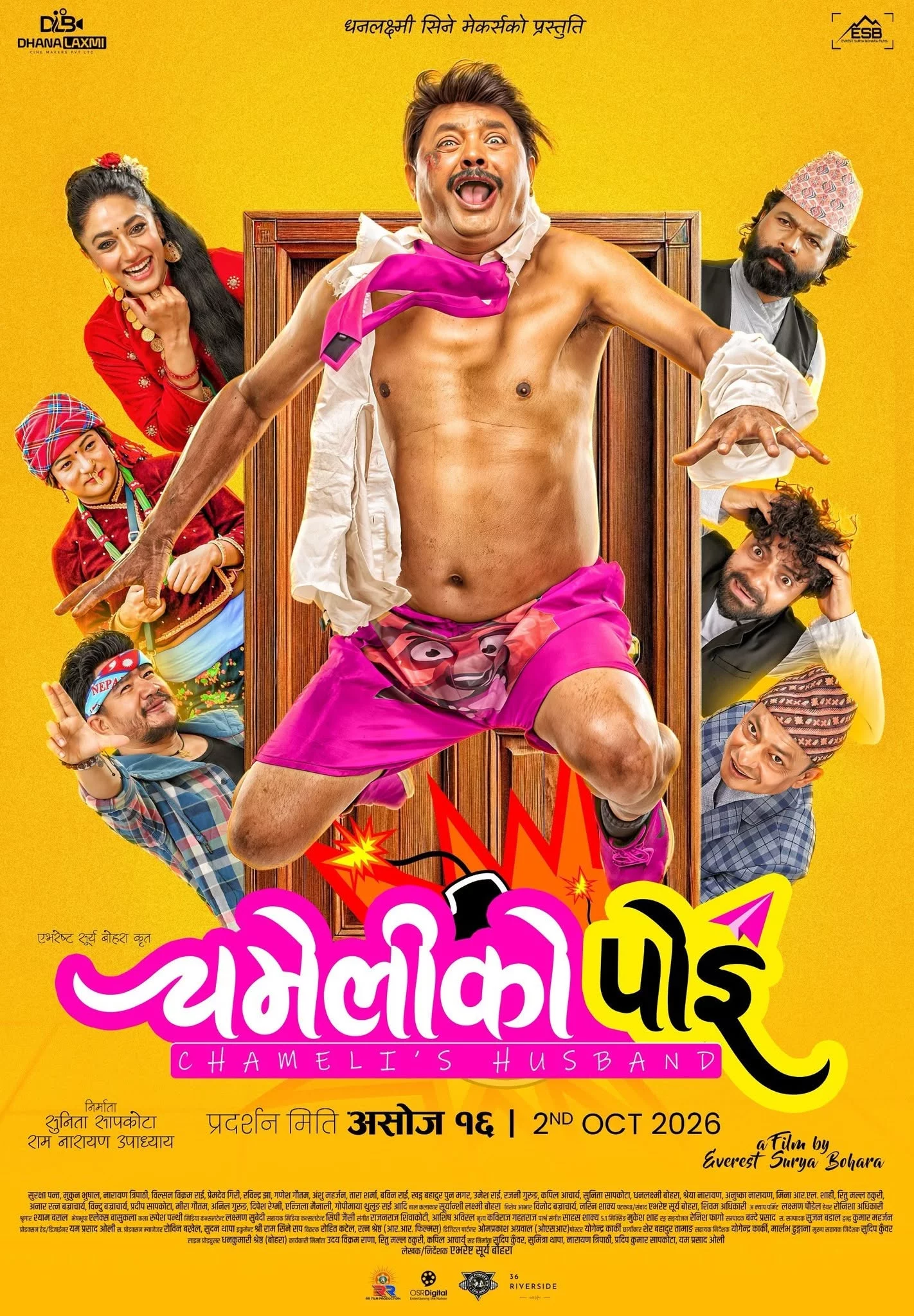 Chameliko Poi poster