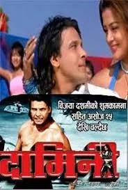Damini poster