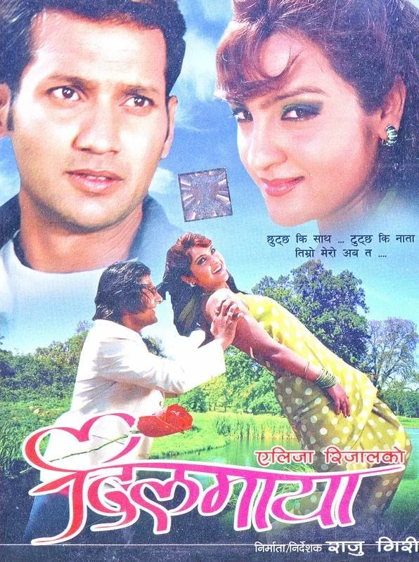 Dilmaya poster