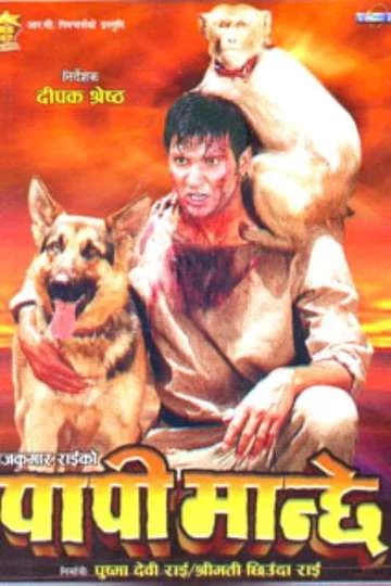 Papi Manchhe poster